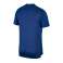 Nike Dry Miler t-paita 438 AJ7565-438 kuva 3