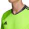 Vārtsarga sporta krekls adidas AdiPro 20 Vārtsargs Jersey Longsleeve laima zaļš FI4192 FI4192 attēls 5