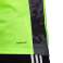 Vārtsarga sporta krekls adidas AdiPro 20 Vārtsargs Jersey Longsleeve laima zaļš FI4192 FI4192 attēls 3