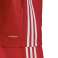 adidas Bayern Munich Inicio 20/21 358 FR8358 fotografía 6