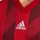 Men's t-shirt adidas Striped 19 Jersey red DP3199 DP3199 image 4