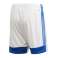 Spodenki męskie adidas Tastigo 19 Shorts biało-niebieskie FL7789 zdjęcie 1