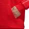 Vīriešu sporta krekls adidas Core 18 Hoody sarkans CV3337 CV3337 attēls 5