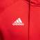 Vīriešu sporta krekls adidas Core 18 Hoody sarkans CV3337 CV3337 attēls 10