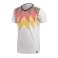 adidas DFB Ci TEE T-shirt 734 CF1734 foto 2