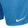 Nike Park II shorts with briefs 412 725903-412 image 3