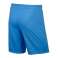 Nike Park II shorts with briefs 412 725903-412 image 5
