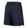 Nike Pro Flex Vent Max 3.0 shorty 451 CJ1957-451 photo 4