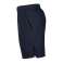 Nike Pro Flex Vent Max 3.0 shorty 451 CJ1957-451 photo 3