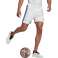 Herren Shorts adidas Tastigo 19 Shorts weiß-blau FL7789 Bild 4