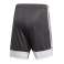 adidas Tastigo 19 shorty 255 DP3255 Bild 9