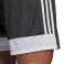 adidas Tastigo 19 shorty 255 DP3255 Bild 6