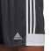 adidas Tastigo 19 shorty 255 DP3255 Bild 2