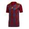 Herren T-Shirt adidas Striped 19 Jersey burgundery DP3203 Bild 1