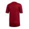 Herren T-Shirt adidas Striped 19 Jersey burgundery DP3203 Bild 3