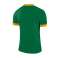 Nike Dry Park Derby II Jersey T-Shirt 302 894312-302 image 7