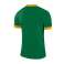 Nike Dry Park Derby II Jersey majica 302 894312-302 slika 9