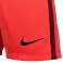 Nike League Knit shorty 671 725881-671 image 19