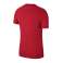 Nike JR Academy 18 t-krekls 657 893750-657 attēls 3