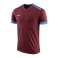 Nike Dry Park Derby II Jersey T-Shirt 677 894312-677 image 1