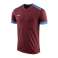 Nike Dry Park Derby II Jersey majica 677 894312-677 slika 1