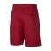 Nike JR NSW shorty 687 923360-687 image 4