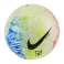 Nike NJR Skills 100 SC3961-100 photo 2