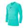 Nike Dry Park First Layer Sleeve 354 AV2609-354 image 1