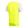 Heren t-shirt adidas Estro 19 Jersey geel DP3235 DP3235 foto 6