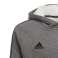 Majica za otroke adidas Core 18 Hoody JUNIOR siva CV3429 CV3429 fotografija 8