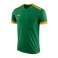 Nike Dry Park Derby II Jersey majica 302 894312-302 slika 5