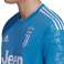 adidas Juventus Üçüncü Forma 19/20 471 DW5471 fotoğraf 9