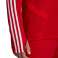 Vīriešu sporta krekls adidas Tiro 19 Training Top red D95920 D95920 attēls 6