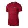 Nike Dry Miler Top SS n.V. T-Shirt 687 891684-687 photo 6