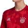 adidas Bayern München Pre-Match T-Shirt 676 DX9676 Bild 3