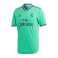 adidas Real Madrid Drittes Trikot Authentic T-Shirt 19/20 301 EC9301 Bild 12