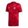 adidas Bayern München Pre-Match T-Shirt 676 DX9676 Bild 1