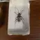 Großhandel Verschiedene Insekten in Harz Bild 2