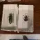 Großhandel Verschiedene Insekten in Harz Bild 4