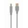 CableXpert USB 2.0 AM male to BM male cable grey CCP-USB2-AMBM-6G image 2