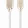 CableXpert Tip-C USB polnjenje in podatkovni kabel 2 m bela CC-USB2R-AMCM-2M-W fotografija 2