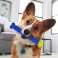 BROSSE À DENTS DENTAIRE EN GROS JOUETS POUR CHIENS photo 2