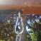 Heavy-Duty Carabiner for Hammock Swing - 450kg Capacity with Safety Lock image 1
