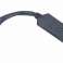 Gembird USB Video Grabber UVG-002 image 1