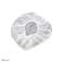 Charlotte Blanche 100pcs photo 1
