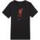 Koszulka dla dzieci Nike Liverpool FC Evergreen Crest czarna CZ8249 010 CZ8249 010 zdjęcie 1