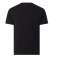 Levio grafinis rinkinys kaklo tee 177830137 177830137 nuotrauka 1