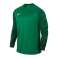 Nike Gardien Jsy LS camisola de guarda-redes 319 foto 2