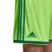 adidas Regista 18 Shorts 598 image 5