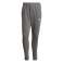 Men's pants adidas Tiro 21 Sweat grey GP8802 GP8802 image 2